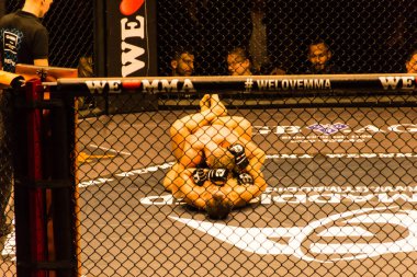 Hamburg, Almanya - 18 Kasım 2017: Alex Wiens ve Amir şah Bayat biz aşk Mma 34 sırasında arasındaki mücadele 