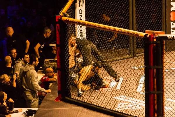 Hamburgo Alemanha Novembro 2017 Sétima Luta Durante Love Mma — Fotografia de Stock