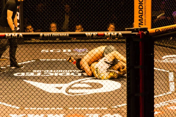 Hamburg Deutschland 2017 Achter Kampf Während Wir Mma Lieben — Stockfoto