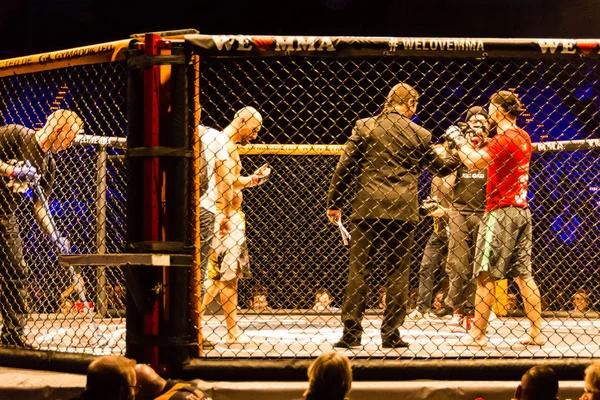 Hamburg Niemcy Listopada 2017 Ósmy Walki Podczas Love Mma — Zdjęcie stockowe