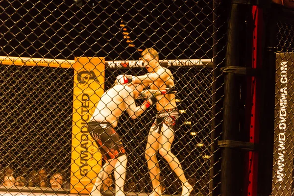 함부르크 2017 롤랜드 Krifft Mma 사이의 — 스톡 사진