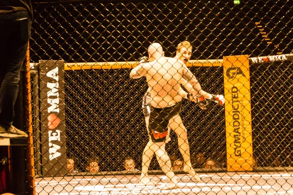 ハンブルク ドイツ 2017 ローランド Krifft と我々 Mma 中ティノ ミューラーとの戦い — ストック写真