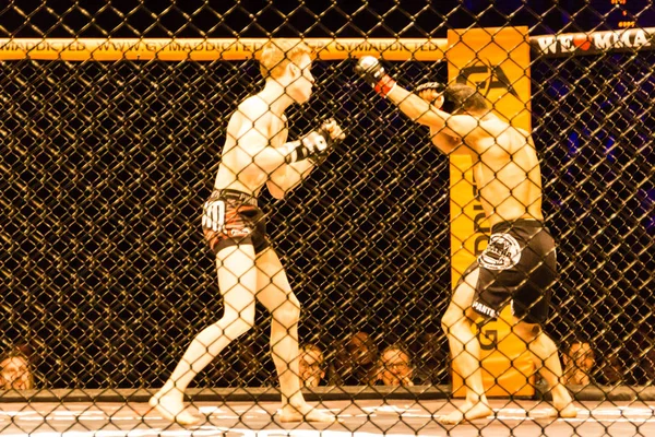 ハンブルク ドイツ 2017 アレクサンダー 光沢と我々 Mma 中ムスタファ Ahmedi との戦い — ストック写真