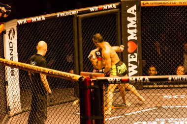 Hamburg, Almanya - 18 Kasım 2017: Alex Wiens ve Amir şah Bayat biz aşk Mma 34 sırasında arasındaki mücadele 