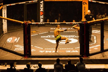 Hamburg, Almanya - 18 Kasım 2017: Alex Wiens ve Amir şah Bayat biz aşk Mma 34 sırasında arasındaki mücadele 