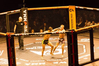Hamburg, Almanya - 18 Kasım 2017: Alex Wiens ve Amir şah Bayat biz aşk Mma 34 sırasında arasındaki mücadele 