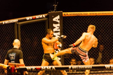 Hamburg, Almanya - 18 Kasım 2017: Alex Wiens ve Amir şah Bayat biz aşk Mma 34 sırasında arasındaki mücadele 