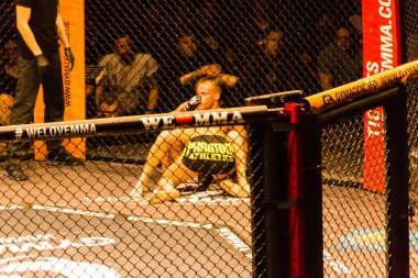 Hamburg, Almanya - 18 Kasım 2017: Alex Wiens ve Amir şah Bayat biz aşk Mma 34 sırasında arasındaki mücadele 