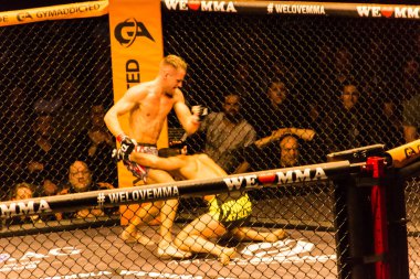 Hamburg, Almanya - 18 Kasım 2017: Alex Wiens ve Amir şah Bayat biz aşk Mma 34 sırasında arasındaki mücadele 