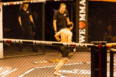 Hamburg, Almanya - 18 Kasım 2017: Dimitar Kostov ve Thiago Huber biz aşk Mma 34 sırasında arasında ana olay mücadele 