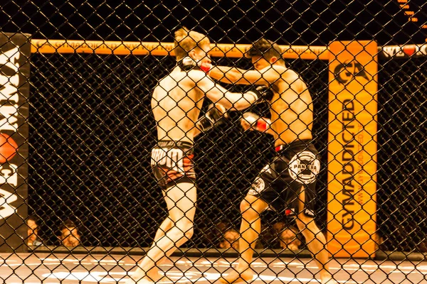 함부르크 2017 알렉산더 Mma 무스타파 Ahmedi 사이의 — 스톡 사진