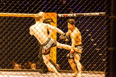 Hamburg, Almanya - 18 Kasım 2017: Alexander parlaklık ve Mustafa Ahmedi biz aşk Mma 34 sırasında arasındaki mücadele 