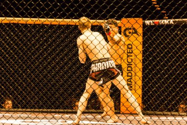 Hamburg, Almanya - 18 Kasım 2017: Alexander parlaklık ve Mustafa Ahmedi biz aşk Mma 34 sırasında arasındaki mücadele 