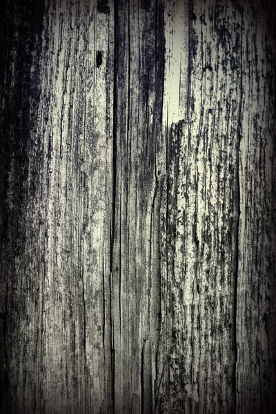 Old antique wooden texture — Stock Photo, Image