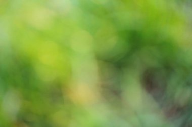 Yeşil soyut arkaplan