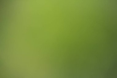 Yeşil soyut arkaplan