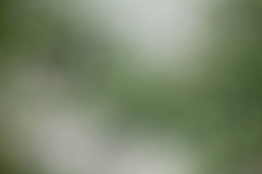 Yeşil ve gri soyut arka plan