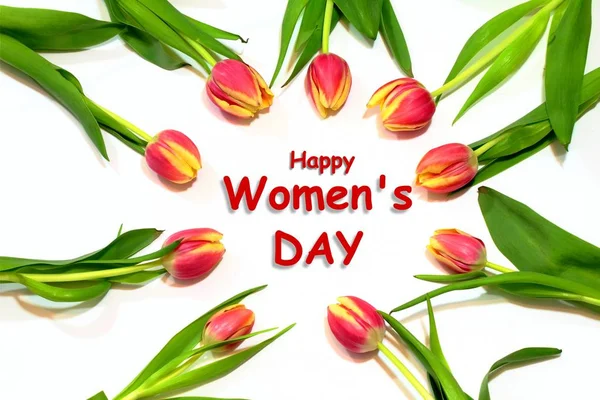 International Women Day Card Background — Stock Photo, Image