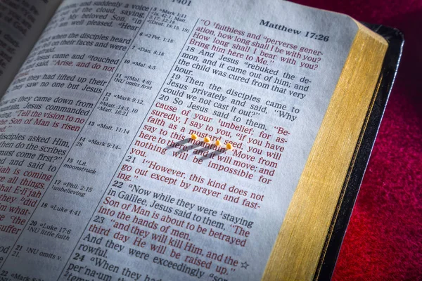 Semilla de mostaza y Biblia abierta —  Fotos de Stock