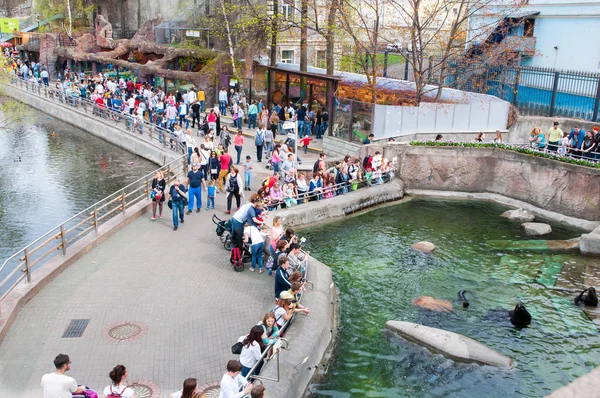 Moscou, Rússia-01 de maio: Zoológico de Moscou durante o meio-dia, multidão de pessoas vai passear em 01 de maio de 2017 em Moscou . — Fotografia de Stock