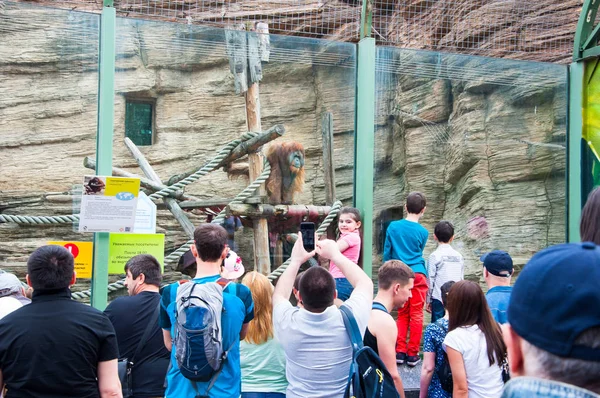 Moscou, Rússia-01 de maio: As pessoas tiram fotos com o orangotango Sumatra no Zoológico de Moscou em 01 de maio de 2017 em Moscou . — Fotografia de Stock