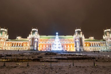 Moskova, Rusya-Ocak 06: Tsaritsyno Panorama Müzesi Ocak zamanında Noel sırasında 06,2018. Tsaritsyno Müzesi ve Rezerv Moskova'da adının aynı parkta 1984 yılında kuruldu.