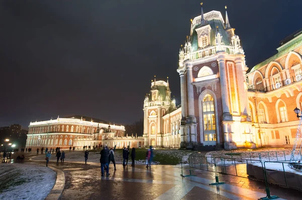 Moscou Rússia Janeiro Grande Palácio Tsaritsyno Museu Parque Reserva Durante — Fotografia de Stock