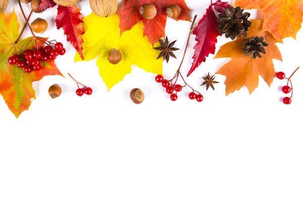 Autumn border made of leaves and acorns on white background, cop — Stock Photo, Image