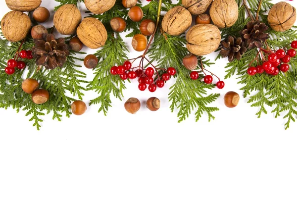 Diseño de la frontera del árbol de Navidad aislado en blanco —  Fotos de Stock