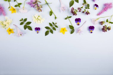 çiçek tomurcukları, dalları ve yaprakları