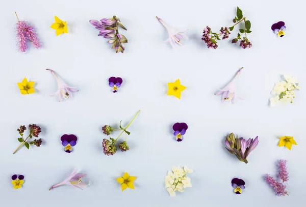 Patrón hecho de lila y flores. Piso tendido, vista superior — Foto de Stock