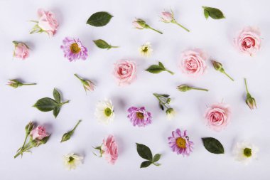 Beyaz bir arka planda çiçek aranjmanı. desen