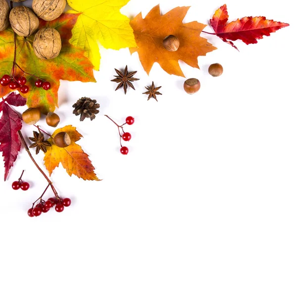 Composición de otoño. Marco hecho de hojas de otoño, bellota, pino con —  Fotos de Stock