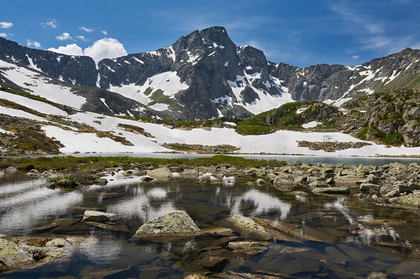 Schöne sommerlandschaft, altaigebirge russland. — Stockfoto