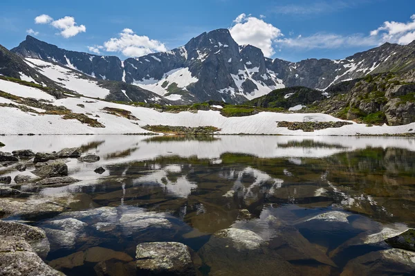 Όμορφες καλοκαιρινές τοπίου, Ρωσία Altai βουνά. — Φωτογραφία Αρχείου