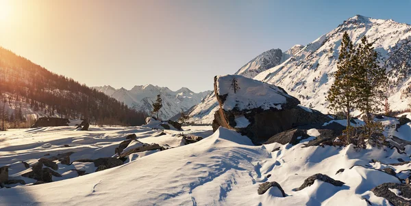 Hermoso paisaje de invierno, montañas de Altai, Siberia, Rusia . — Foto de Stock