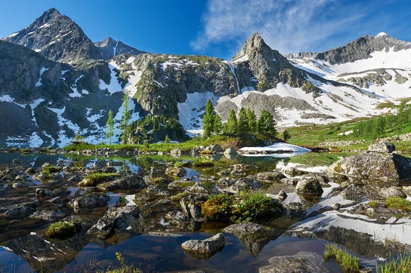 Vacker sommar landskap, Altaibergen Ryssland. — Stockfoto