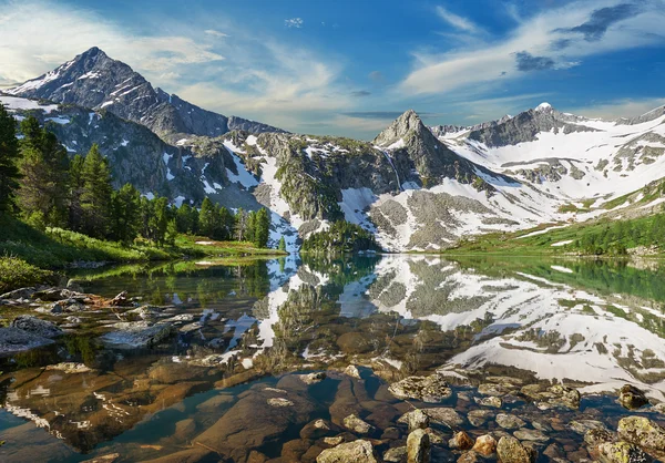 Mooie zomerse landschap, Altaj Rusland. — Stockfoto