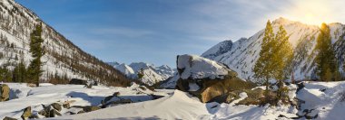 Güzel kış manzara, Altay Dağları, Sibirya, Rusya Federasyonu.