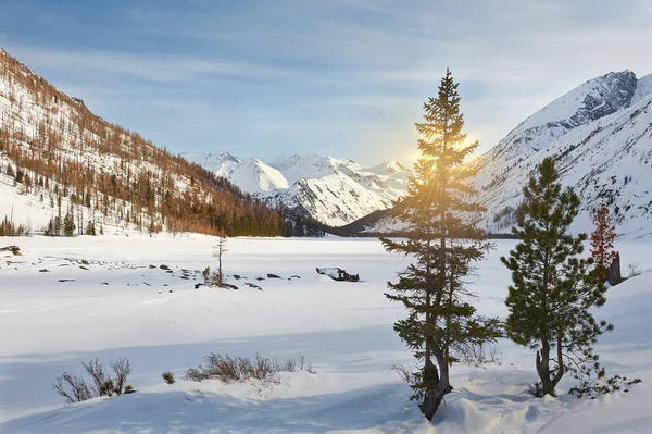 Beau paysage d'hiver, montagnes Altaï, Sibérie, Russie . — Photo