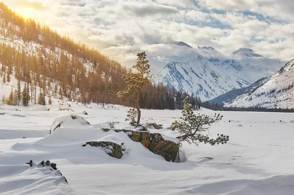 Beau paysage d'hiver, montagnes Altaï, Sibérie, Russie . — Photo