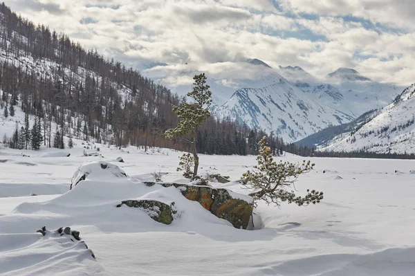 美しい冬の風景、アルタイ山脈、シベリア、ロシア. — ストック写真