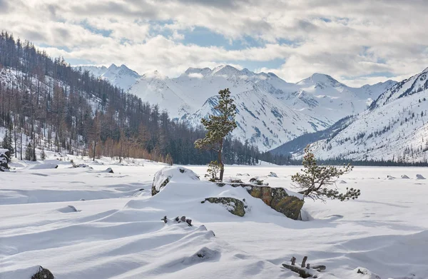 Beautiful winter landscape, Altai mountains,  Siberia, Russia. — Stock Photo, Image