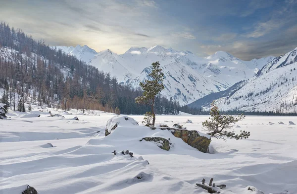 美しい冬の風景、アルタイ山脈、シベリア、ロシア. — ストック写真