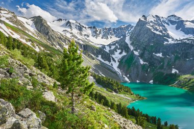 Güzel yaz manzara, Altay Dağları Rusya.