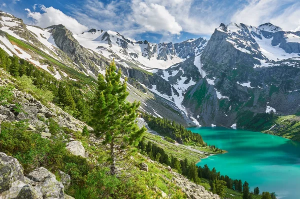 Güzel yaz manzara, Altay Dağları Rusya. Stok Fotoğraf