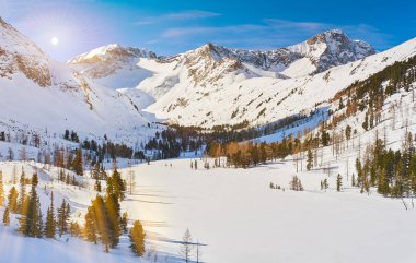 Güzel kış manzara, Altay Dağları, Sibirya, Rusya Federasyonu.