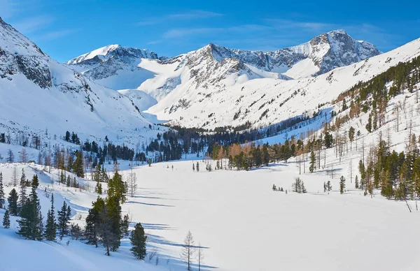 Güzel kış manzara, Altay Dağları, Sibirya, Rusya Federasyonu.