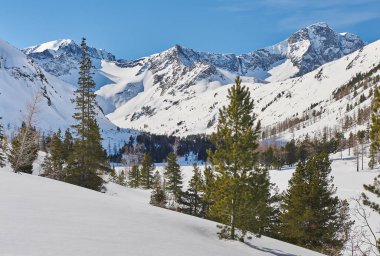 Güzel kış manzara, Altay Dağları, Sibirya, Rusya Federasyonu.