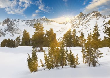 Güzel kış manzara, Altay Dağları, Sibirya, Rusya Federasyonu.